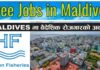 Employment opportunities for Nepalis at different levels in MALDIVES.